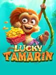 Lucky Tamarin
