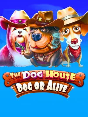 The Dog House - Dog or Alive