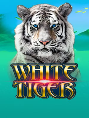 White Tiger
