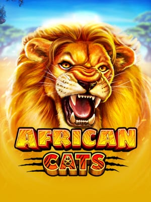 African Cats