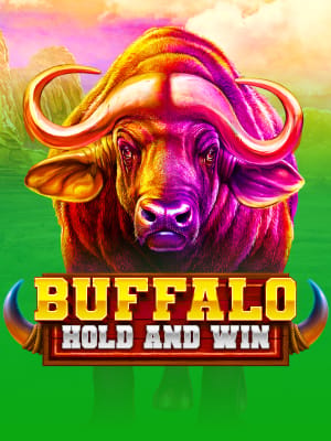 Buffalo Hold and Win