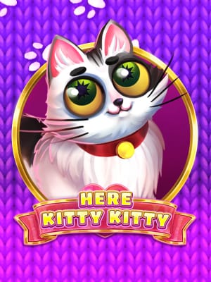 Aqui Gatinho™