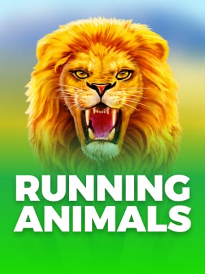 Animais em execução