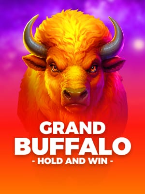 Grand Buffalo Hold and Win