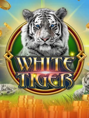 White Tiger