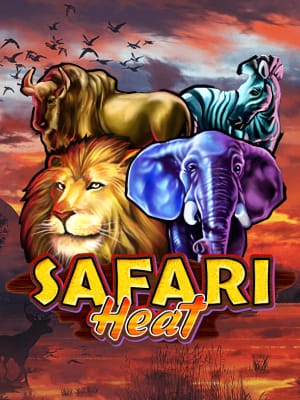 Safari Heat