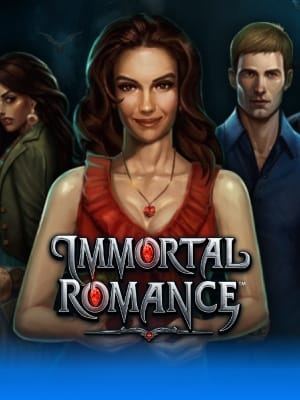 Immortal Romance Video Bingo
