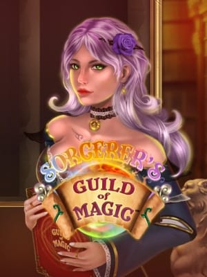 Sorcerer's Guild of Magic