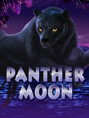 Panther Moon